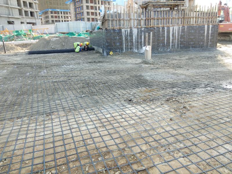 鋼塑格柵的應用特點